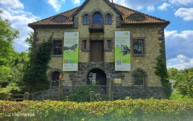 Liz (c) Liz Möhnesee.jpg Liz (c) Liz Möhnesee.jpg